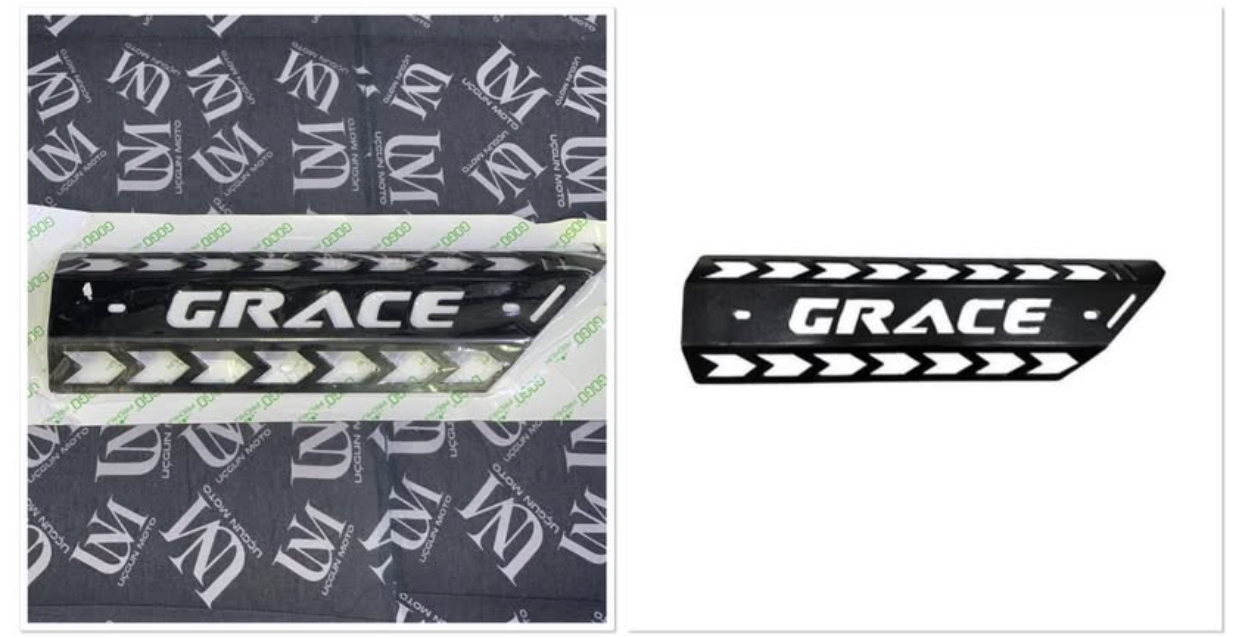 GOGO GRACE EGZOZ KORUMA DEMİRİ