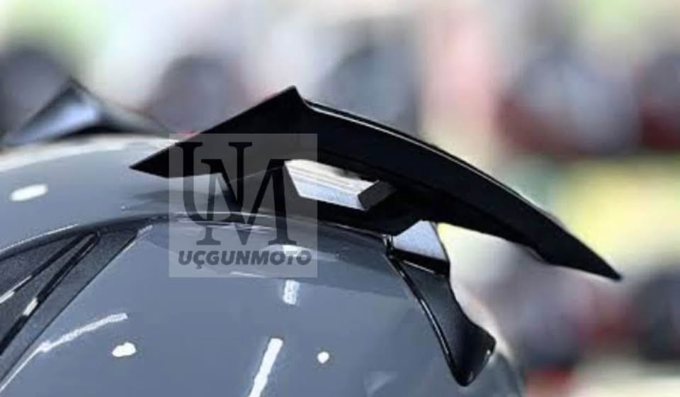 YARIŞ&Ccedil;I BOYNUZ